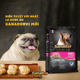 Hạt Ganador Adult Cho Chó Trưởng Thành Vị Cá Hồi & Gạo - Paddy Pet Shop